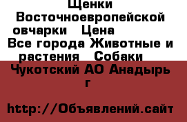 Щенки Восточноевропейской овчарки › Цена ­ 25 000 - Все города Животные и растения » Собаки   . Чукотский АО,Анадырь г.